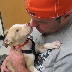 Meet your Posher, Travis